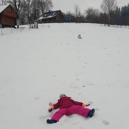 Przytulne Na Poddaszu Jelenia Góra Екстериор снимка